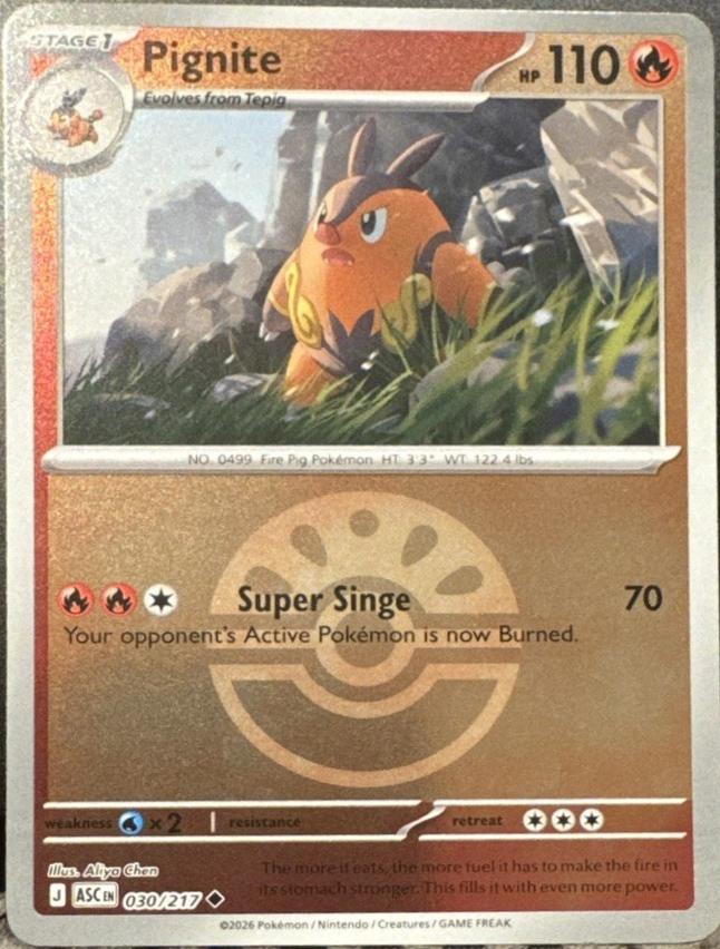 Ascended Heroes Pignite [Ball] Pokémon card